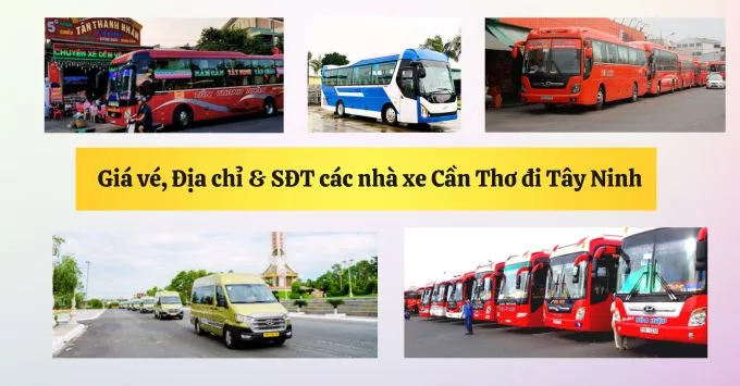 Giá vé, Địa chỉ, SĐT nhà xe Cần Thơ đi Tây Ninh năm 2025