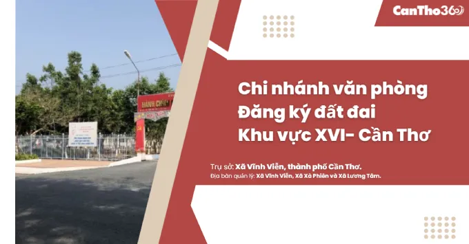 Chi nhánh Văn phòng đăng ký đất đai khu vực XVI - Cần Thơ 2025
