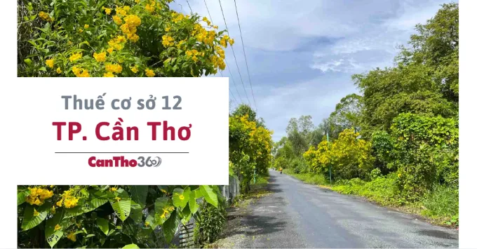 Địa chỉ, Số điện thoại Thuế cơ sở 12 TP. Cần Thơ 2025