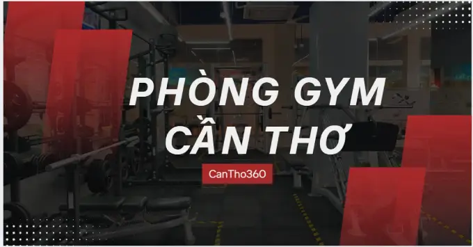 Top 5+ phòng gym Cần Thơ giá rẻ, máy xịn năm 2026